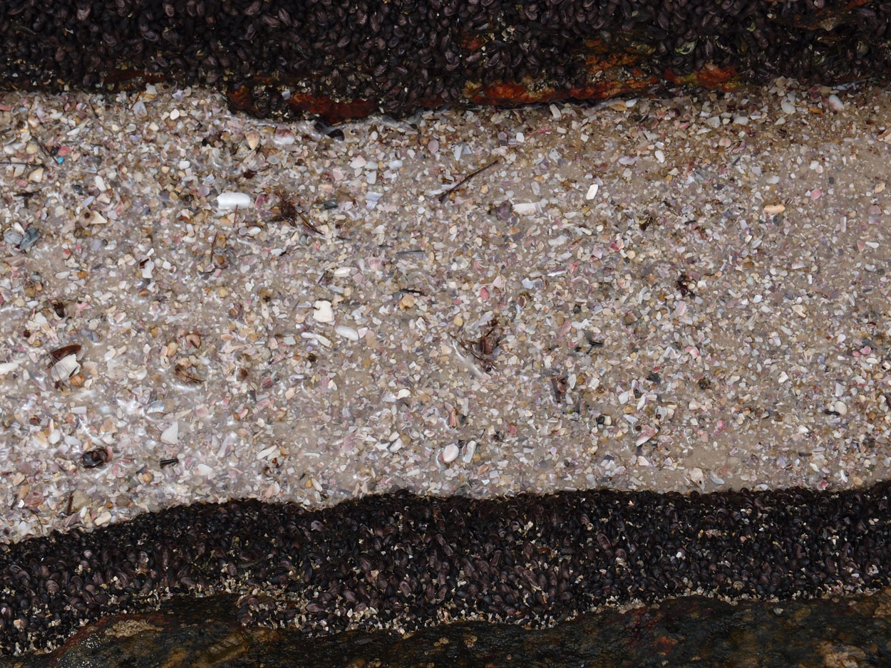 Praia de Itaquatiara